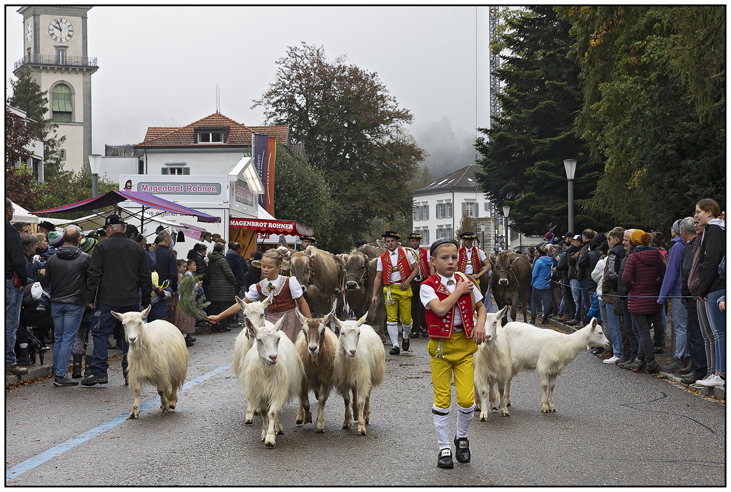 Viehschau Heiden